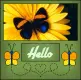 Hello - Flower Blinkie