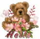 Hello