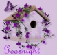 goodnight  2