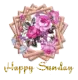 Happy Sunday