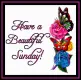 Have a Beautiful Sunday!