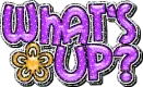 whts up