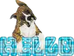 Boxer hello moo 1