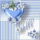 Amarillys Hello