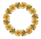 Circle of Flowers - Good Morning