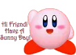 HI FRIEND HELLO FRIEND KIRBY HAVE A SUNNY DAY