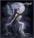 fairy good night