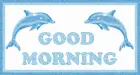 Good Morning Dolphin