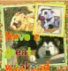 Dogs -Have a great weekend