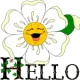 Hello