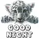 Good Night