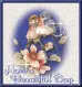 Have a Beautiful Day