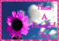 Have a Beautiful Day