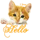 Hello