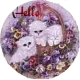 Hello
