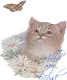 Hello My Friend