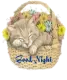 Good Night