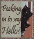 Peeking in to say Hello!!