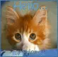 Hello my friend. gif