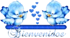 hola