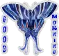 Good Morning Butterfly