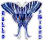 Hello Friend Butterfly