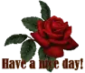 Have A nice Day