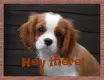 Hey there buddy :D