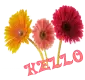 Hello