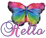 HELLO-butterflymoo3
