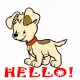 Hello