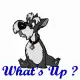 What's up?