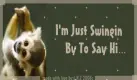 Swingin By 2 Say Hi