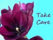 Take Care