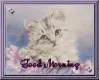 Good Morning