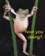 how you doing