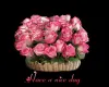 flowers - nice day
