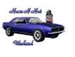 Girl and Camero