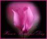 pink flower