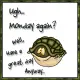 Monday 