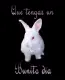 bunito