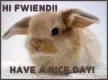 hi fwiend
