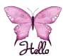 HELLO-butterflymoo6