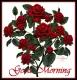 good morning roses