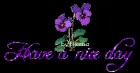 Have a great day