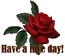 have a nice day rose 