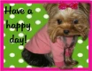 Have a happy day!