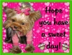 Have a sweet day!