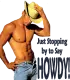 COWBOY HOWDY