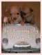 Puppies cruising by to say hi